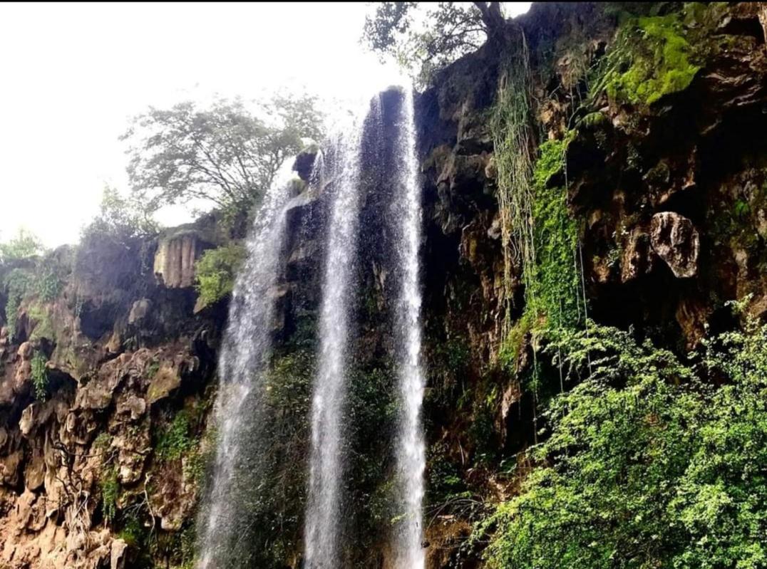 زهره الوادي للشقق المفروشة عائلات فقط Salalah